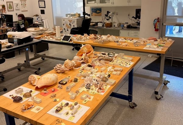 The snails are coming!